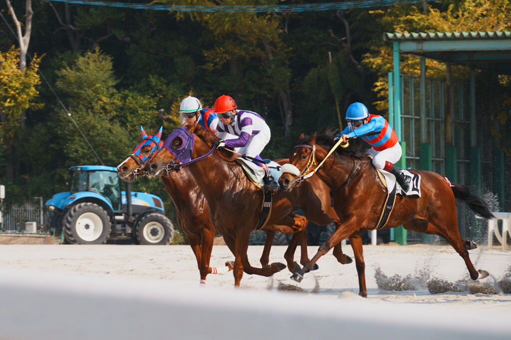 白砂が舞う、その一瞬