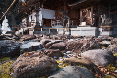 開運！三社巡りの旅