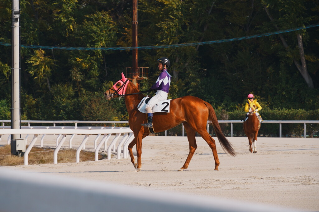 白砂が舞う、その一瞬