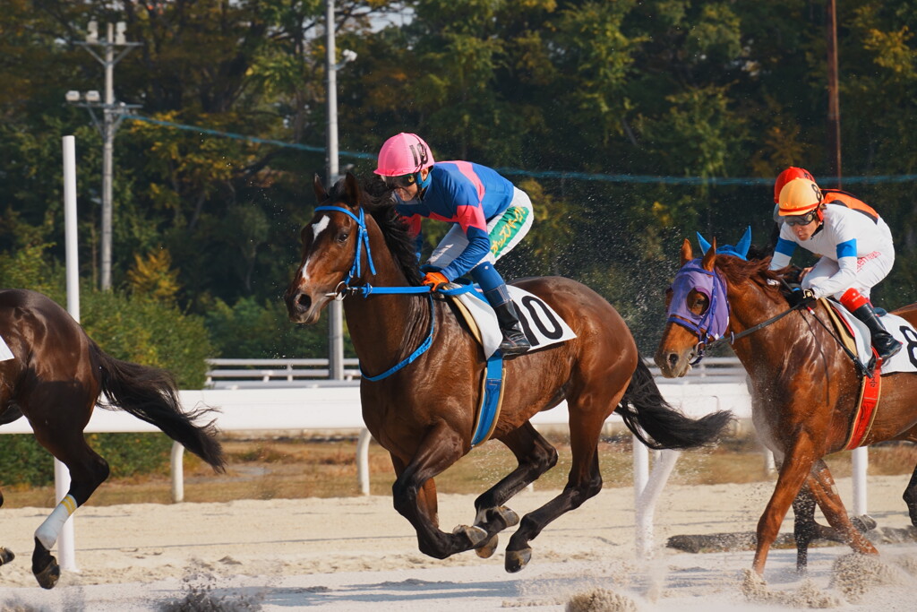 白砂が舞う、その一瞬
