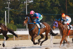 白砂が舞う、その一瞬