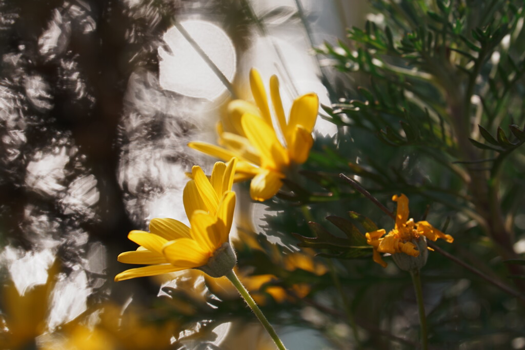 ４人で撮り歩くと...