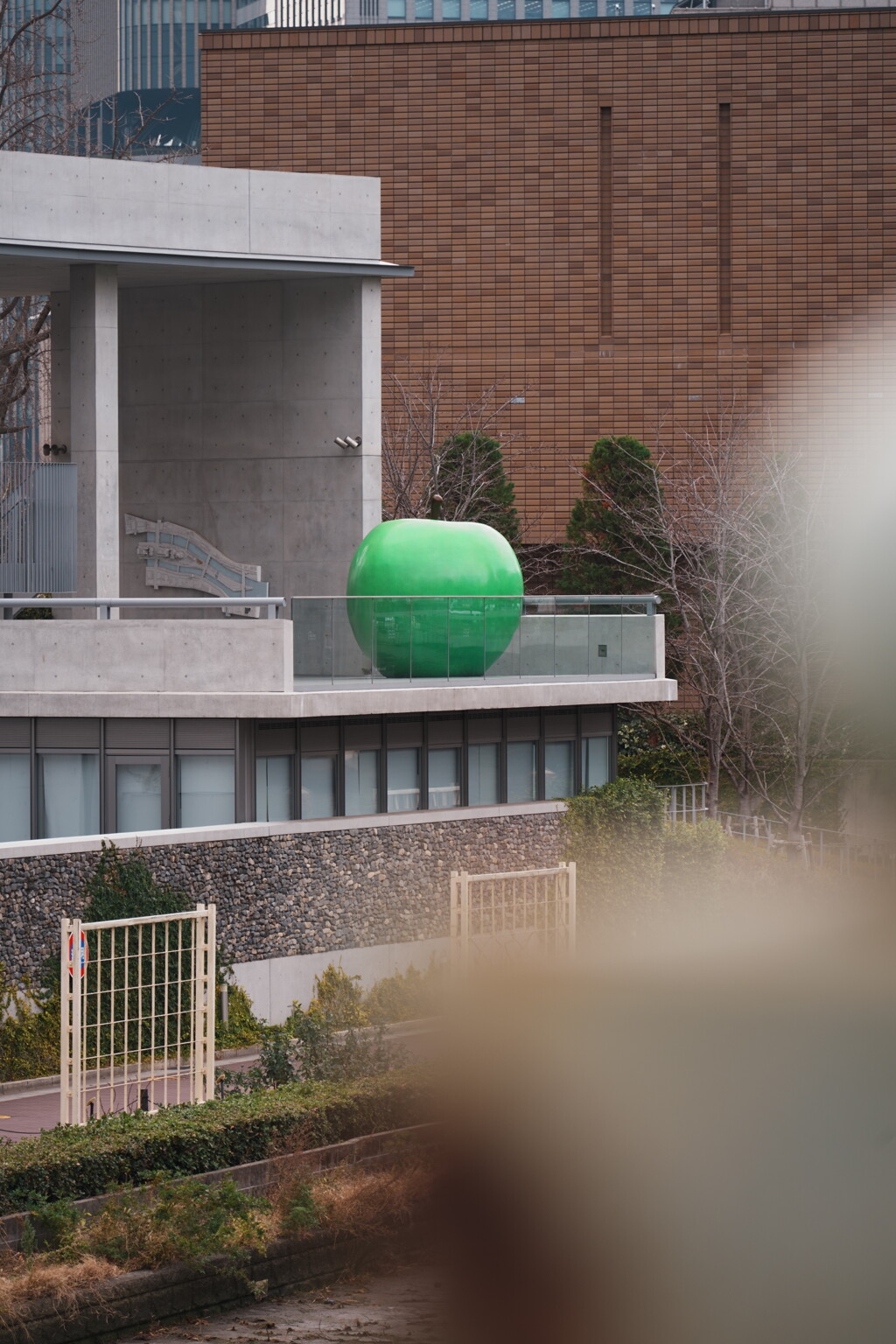 ４人で撮り歩くと...