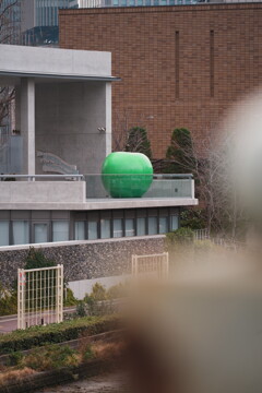 ４人で撮り歩くと...