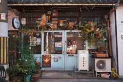 古さの中の新しさ