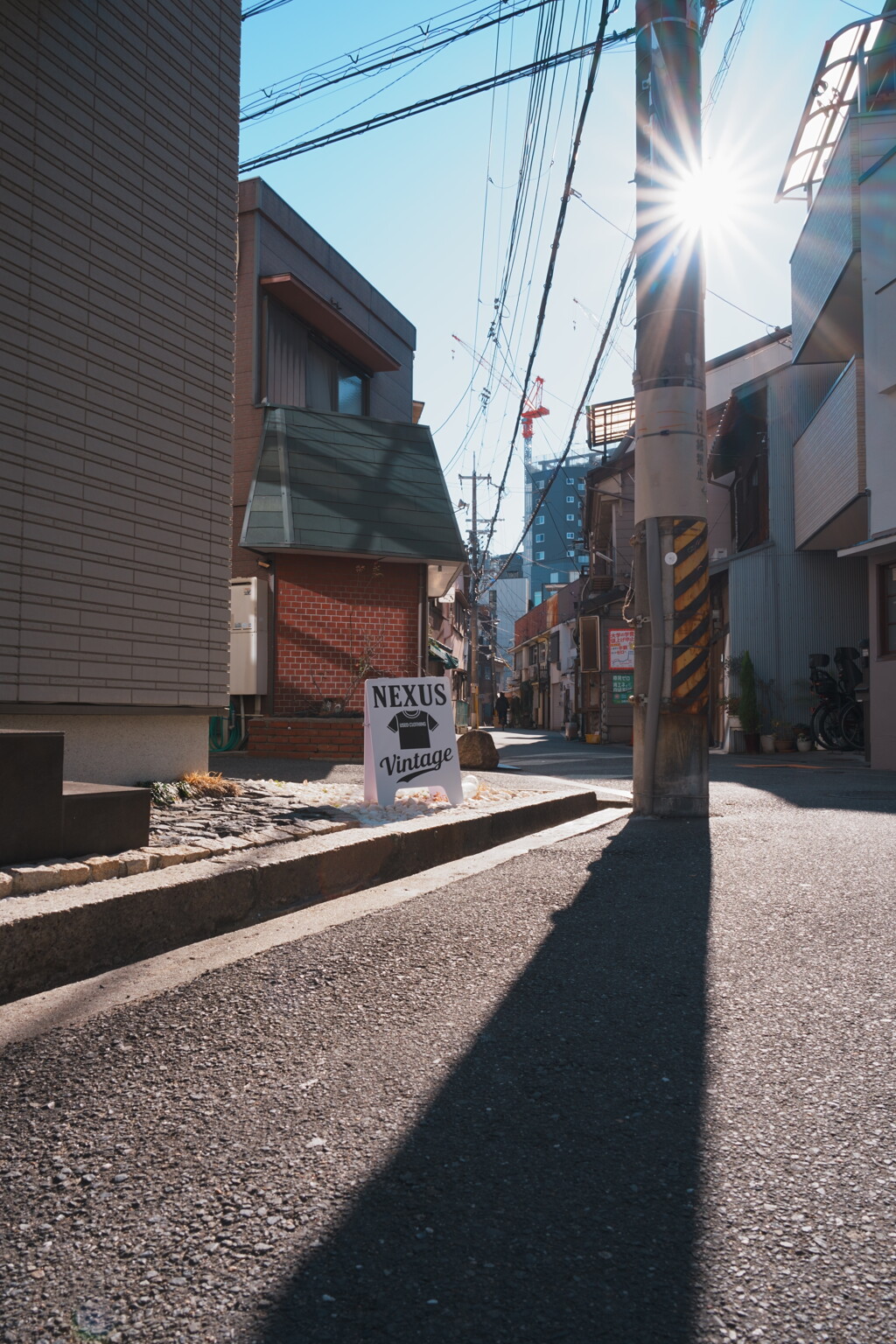 古さの中の新しさ