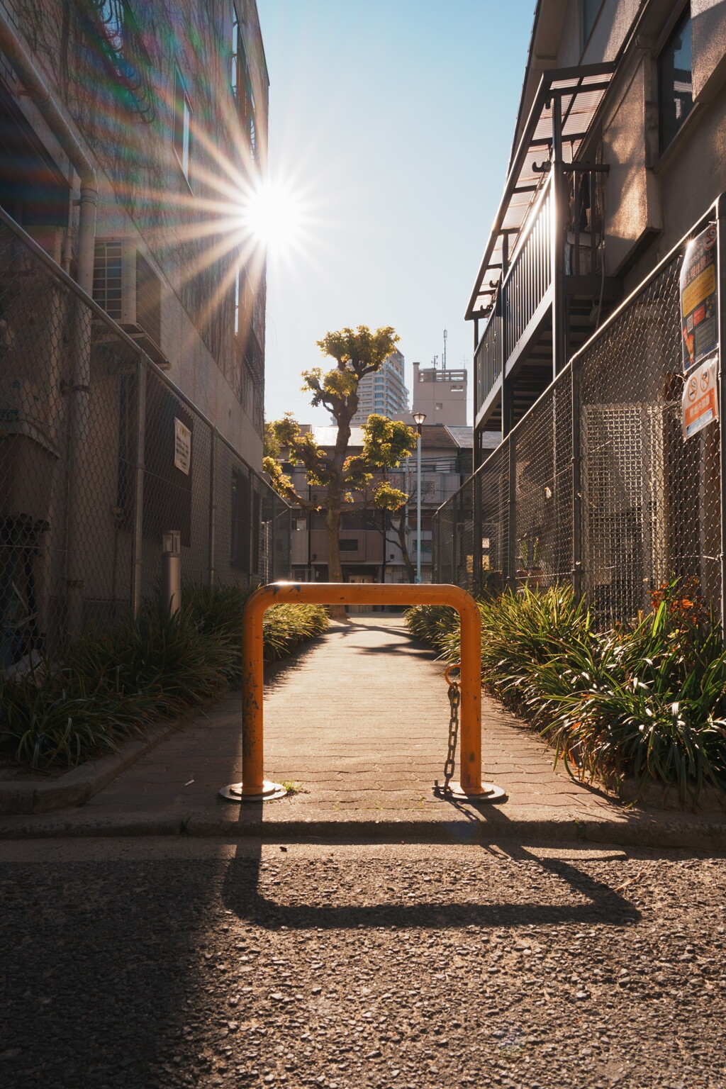 古さの中の新しさ