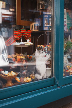 古さの中の新しさ