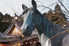 開運！三社巡りの旅