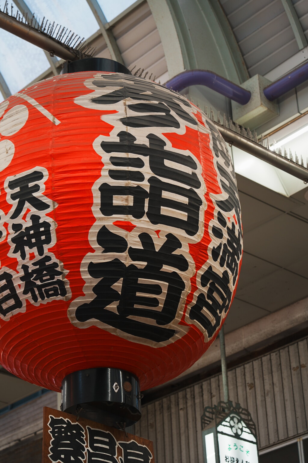 ４人で撮り歩くと...