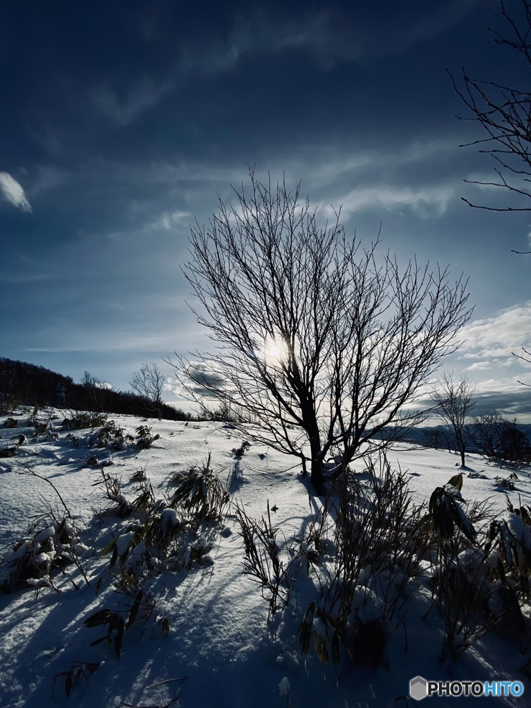 厳冬から春に向けて