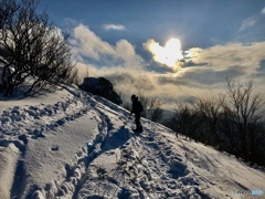 山道で出会った幸せな陽の恵み