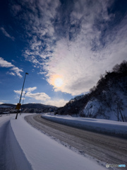 陽を纏った鳳凰