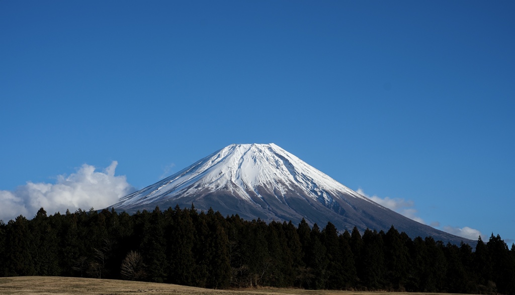 Mt.Fuji