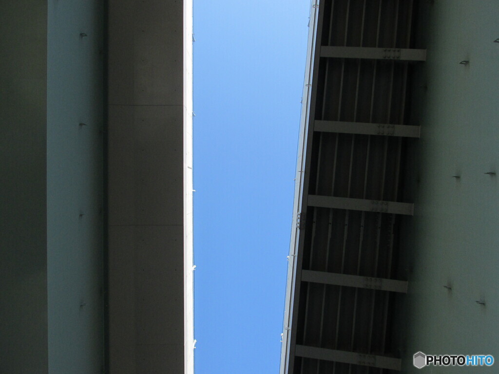 見上げたら！！