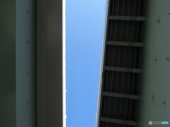 見上げたら！！