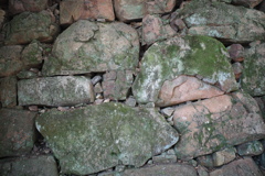 1761532439000_R0021059