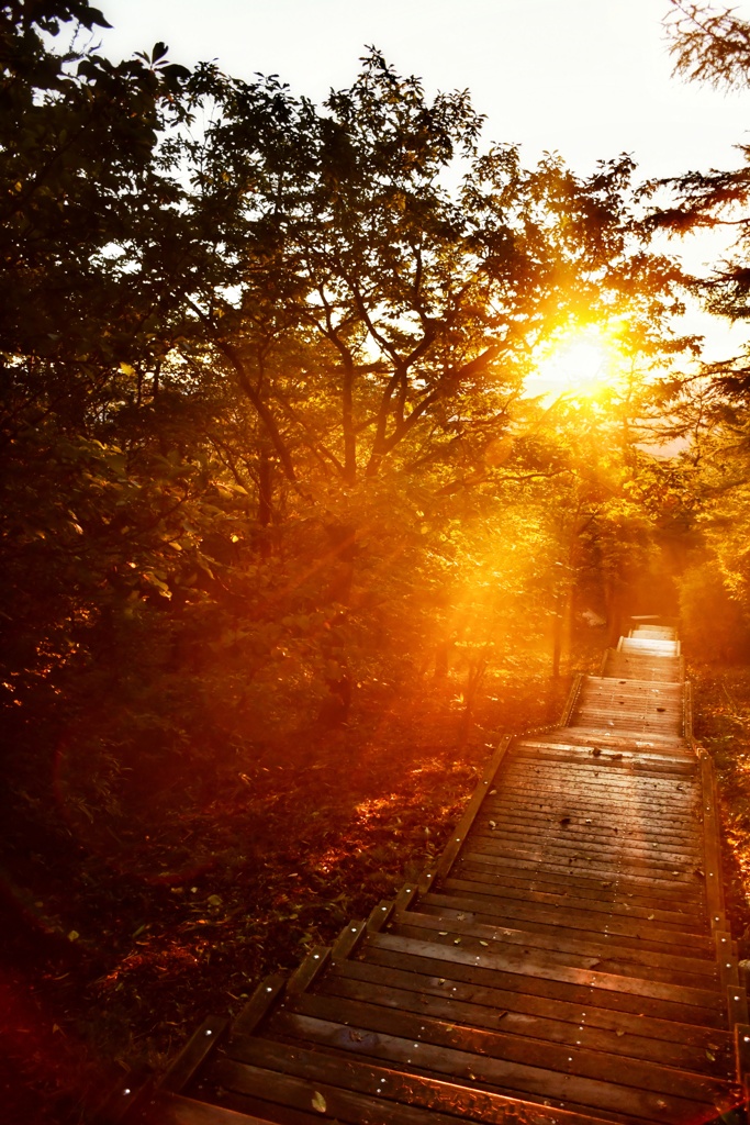 霧降高原の朝日