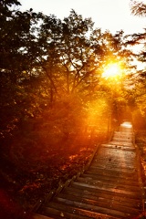 霧降高原の朝日