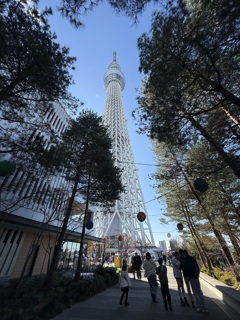 スカイツリー