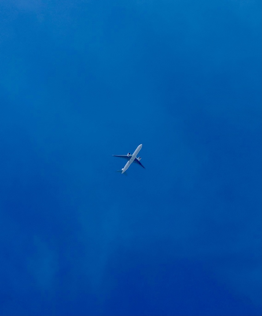 夏の空を駆ける飛行機