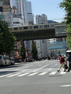 暑い日の秋葉原