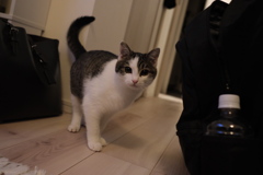 本当に可愛すぎる