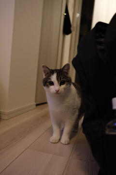 ガチで可愛すぎる！