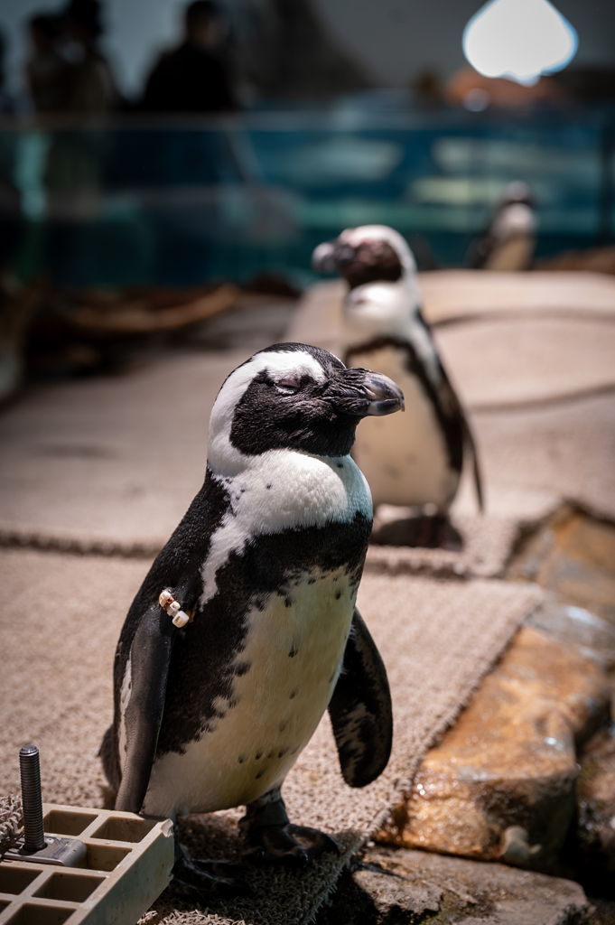 思考停止。……あ、寝てた。