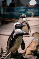 思考停止。……あ、寝てた。