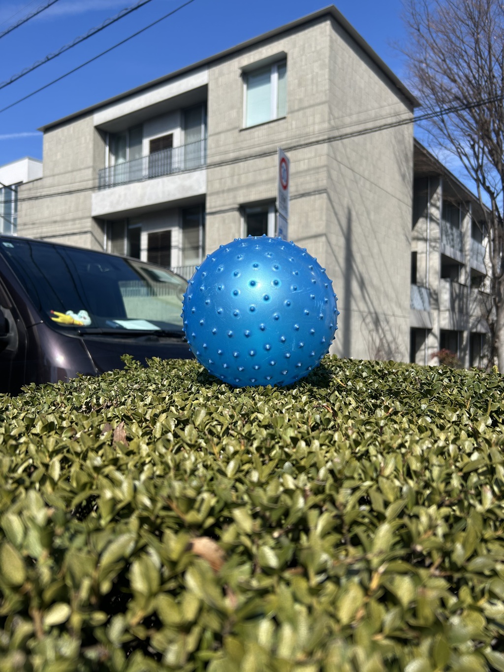 鎮座 by ためつすがめつ （ID：13370025） - 写真共有サイト:PHOTOHITO