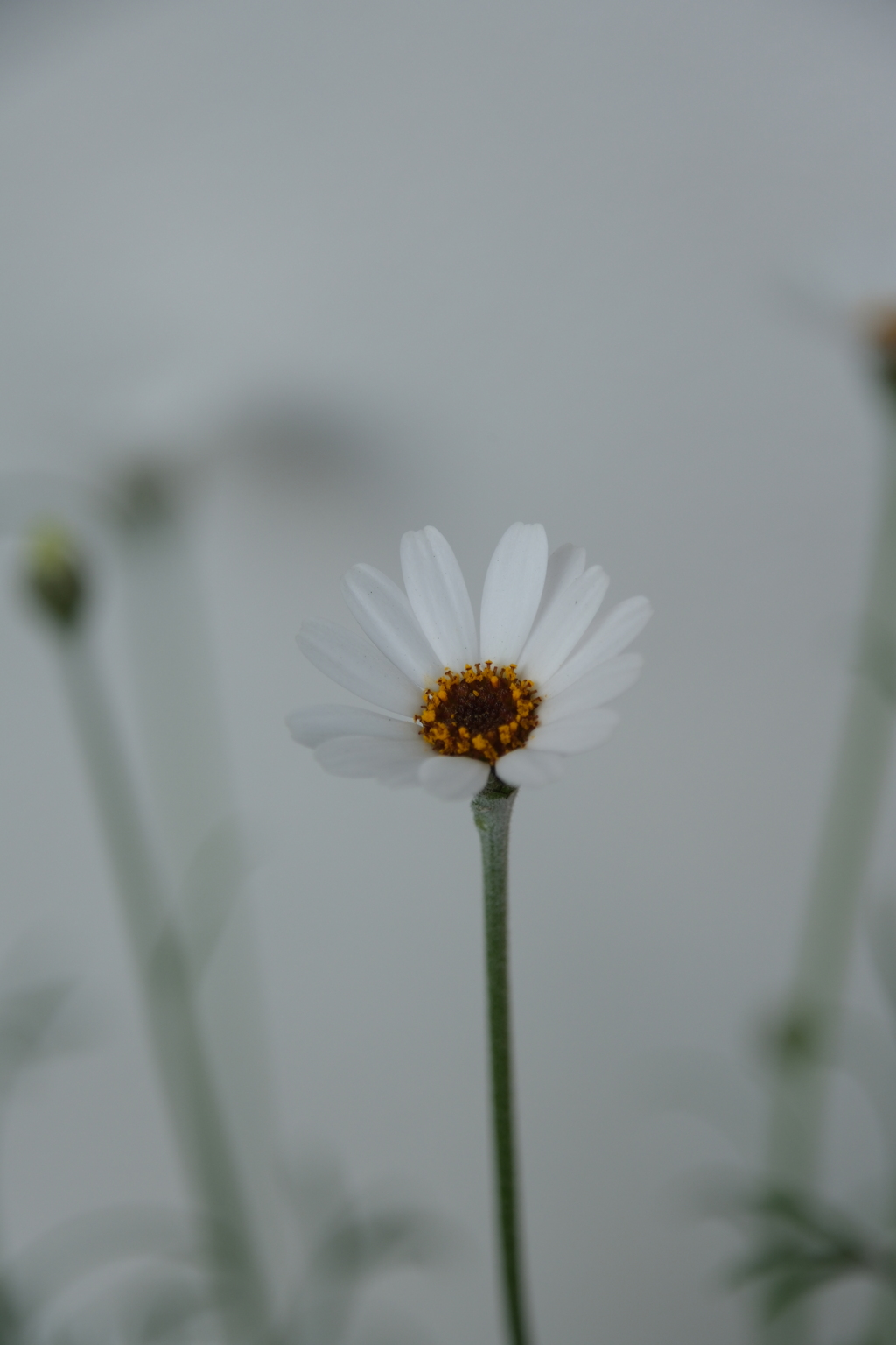 一隅 by ためつすがめつ (ID:13413682) - 写真共有サイト:PHOTOHITO