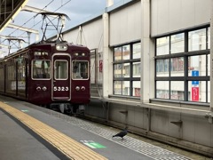 鳥さんだって整列乗車