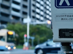 バスと車。千里の日常。