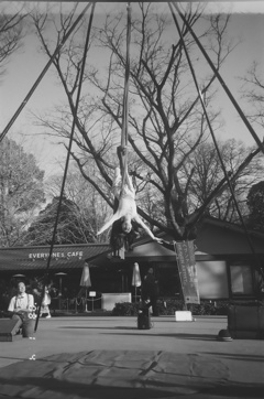 上野恩賜公園　ソランポ・ソラン