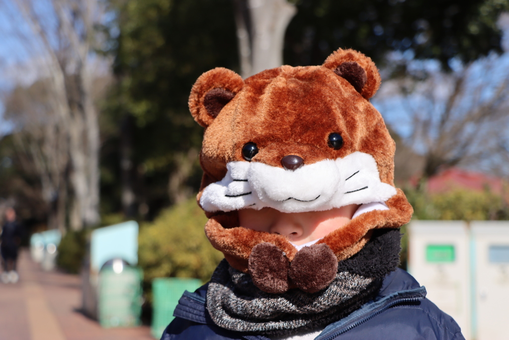風が吹いて寒かったー