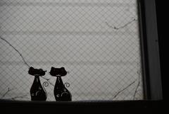 病めるときも健やかなときも