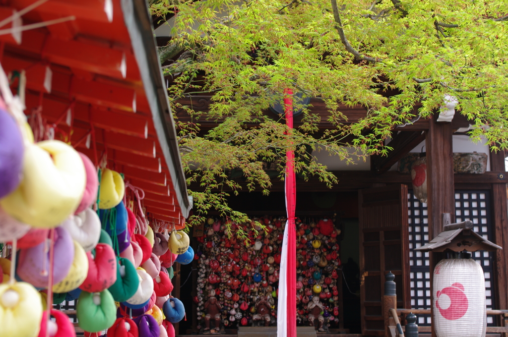 色とりどりの願い