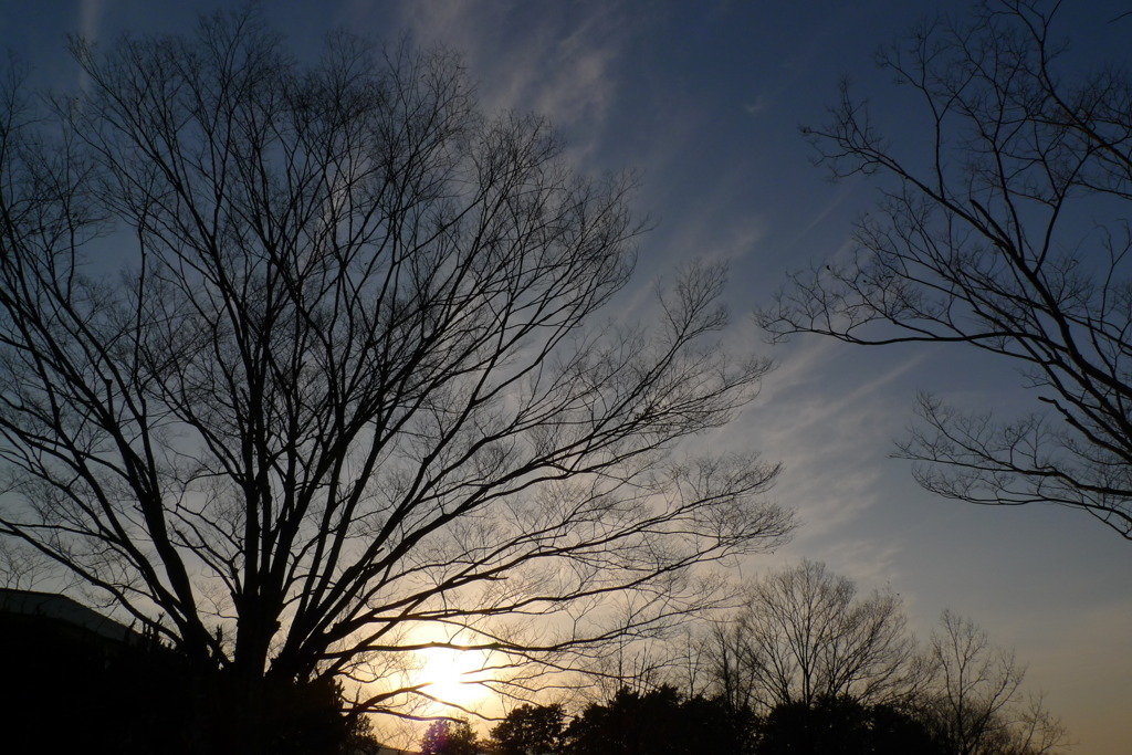 冬の空