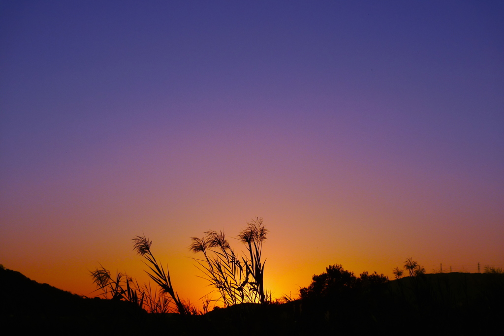 Gradation