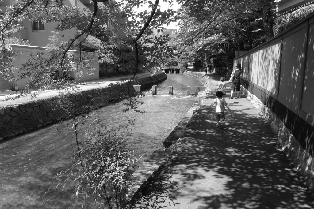 木漏れ日を背に