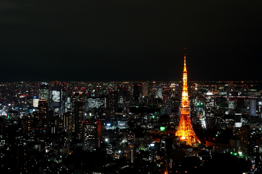 Tokyo Night