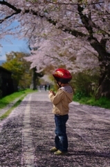 ぼくの春、きみの春