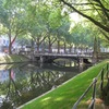 Dusseldorf