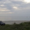 海岸線からの眺め