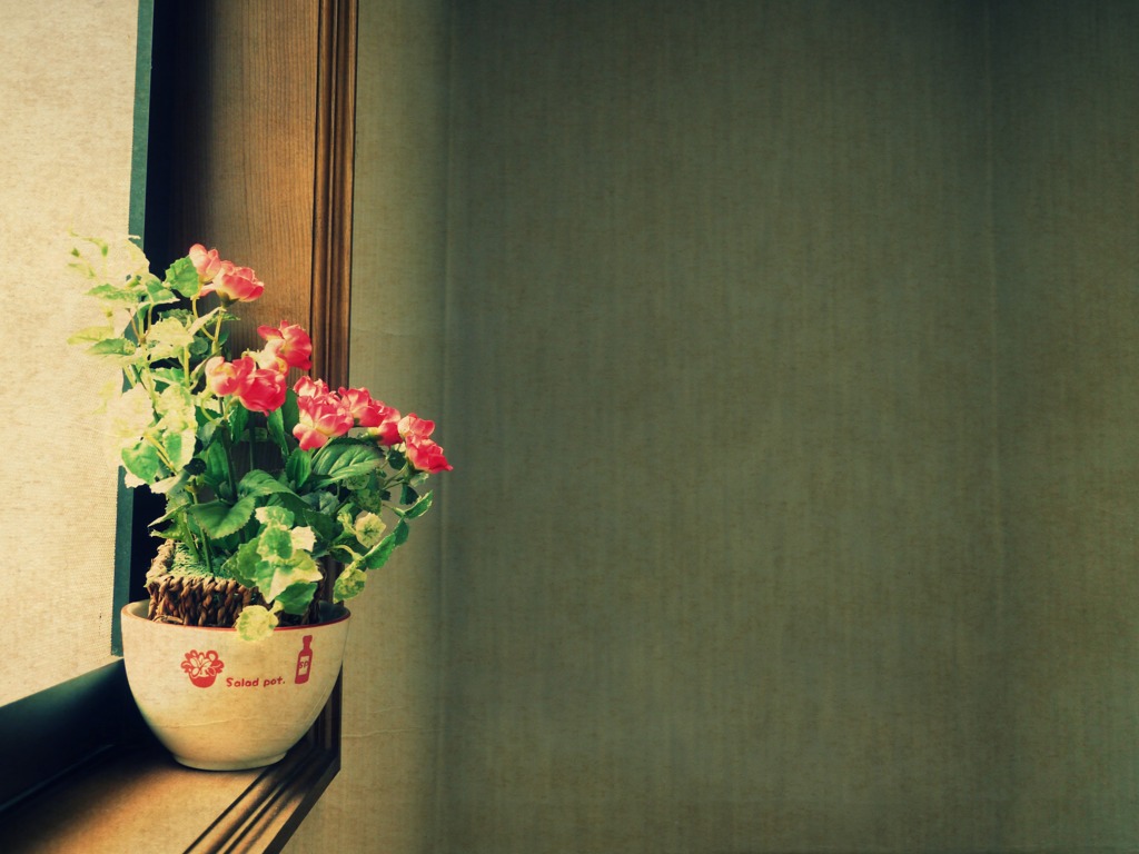 salad pot.