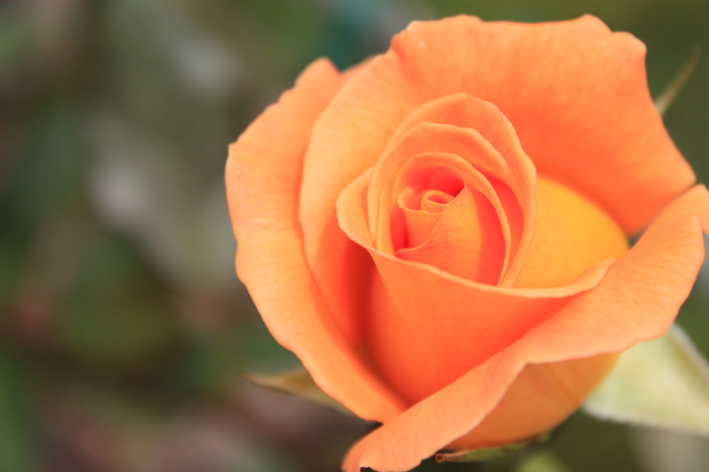 シルクの肌触り