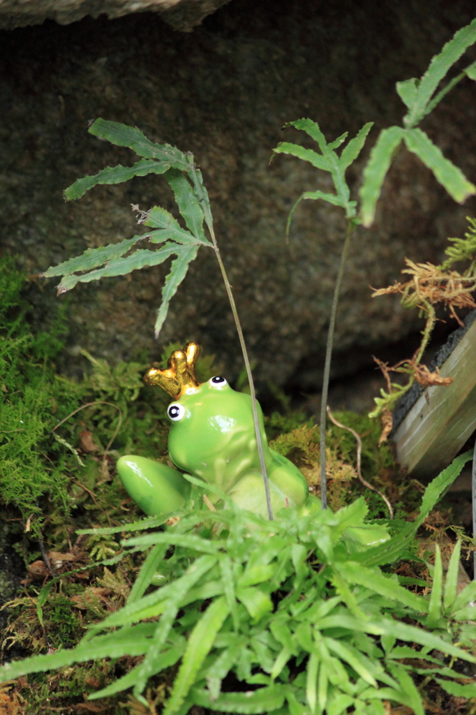 あめ　ふらないかな