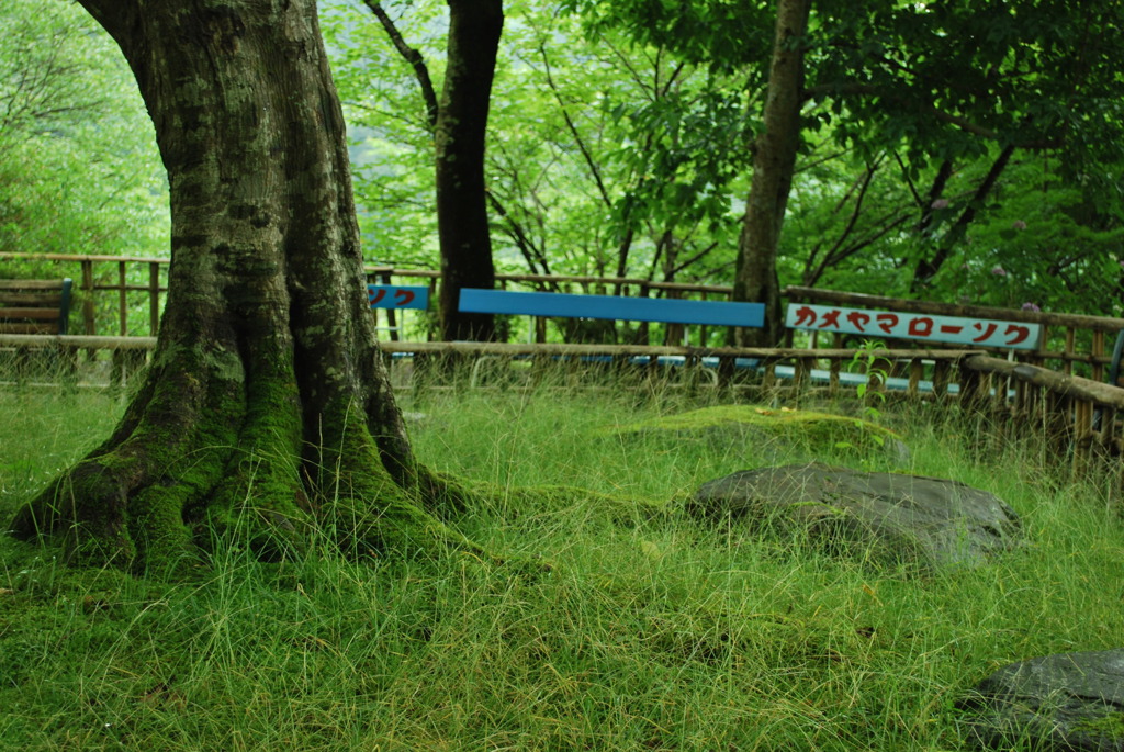 長谷寺　三重塔跡