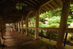石段　振り返る